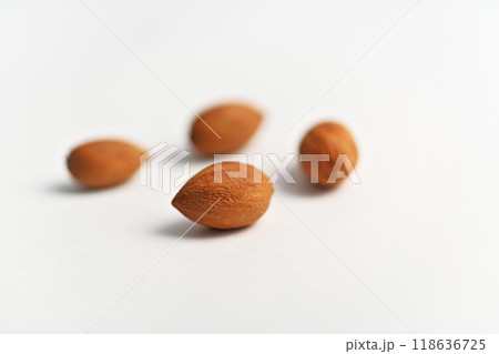 カヤの実（秋、九月） 118636725