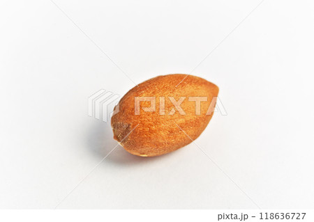 カヤの実（秋、九月） 118636727