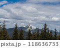 Beautiful spring landscape with pines and snow-covered mountains 118636733