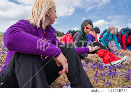 Group of female hikers in mountains during saffron blooming at spring 118636735