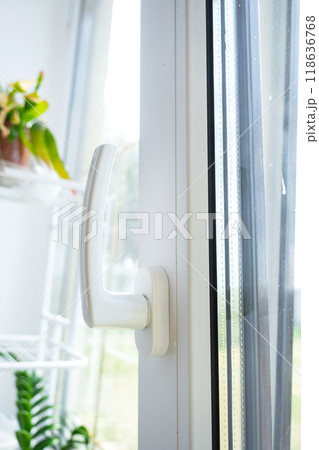 Window from inside the house plastic double-glazed window view outside to the sunny forest - interior salon with potted plants, clean glass after cleaning windows, closed window 118636768