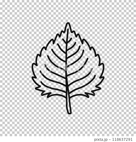 紫蘇線描 紫蘇線描 118637291