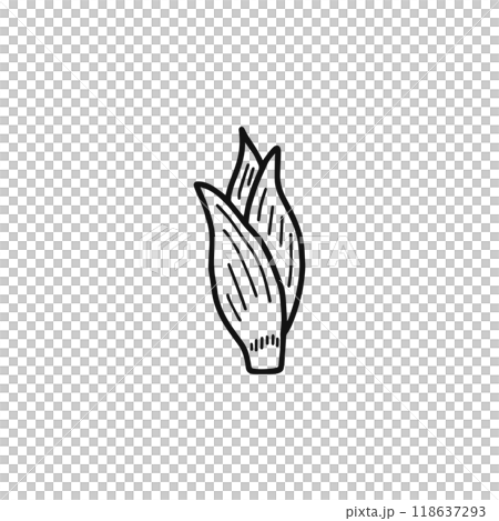 みょうが 線画 みょうが 線画 118637293