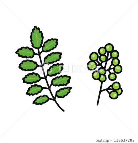 さんしょう 葉 実 さんしょう 葉 実 118637298