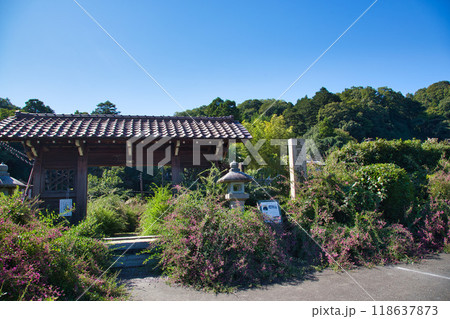 萩の季節の瑞源寺 118637873