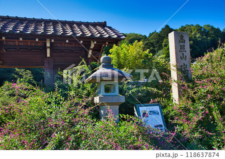 萩の季節の瑞源寺 萩の季節の瑞源寺 118637874