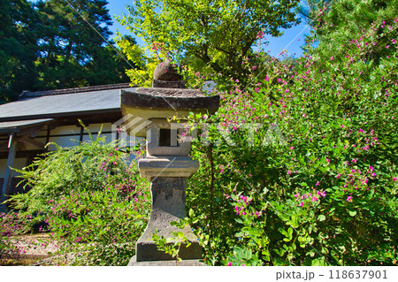 萩の季節の瑞源寺 118637901