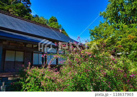 萩の季節の瑞源寺 萩の季節の瑞源寺 118637903