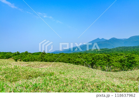 絶景の知床五湖を歩く 118637962