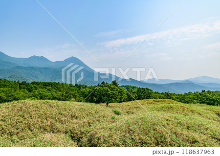 絶景の知床五湖を歩く 118637963