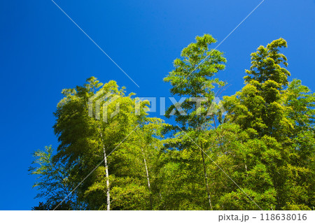 萩の季節の瑞源寺 118638016