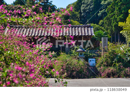 萩の季節の瑞源寺 118638049