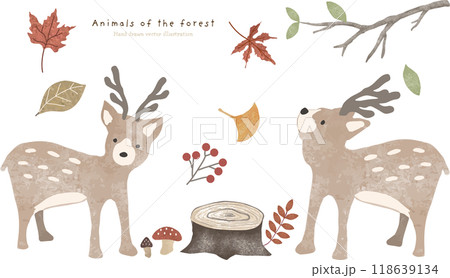秋の森の植物とシカのイラスト 118639134