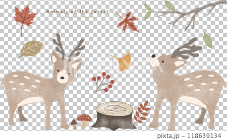 秋の森の植物とシカのイラスト 118639134