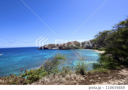ハナウマ湾のサンゴ礁と青い海7 118639889