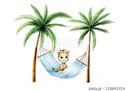 Cute baby giraffe on striped hanging hammock with Green palm trees. Lazy summer clipart. Watercolor hand drawn floral jungle illustration isolated on background. For designers, postcards, greetings, b 118641324