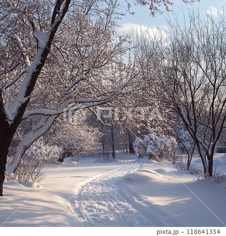 雪の積もった朝の森 118641354