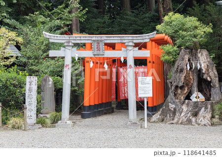 水戸偕楽園　常磐神社 118641485
