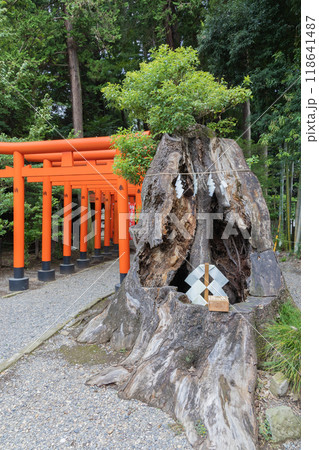 水戸偕楽園　常磐神社 118641487