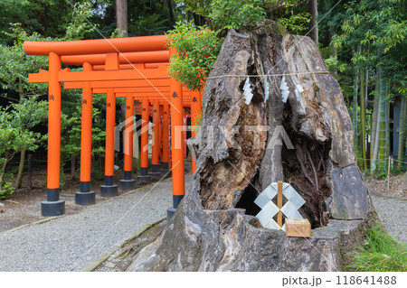 水戸偕楽園　常磐神社 118641488