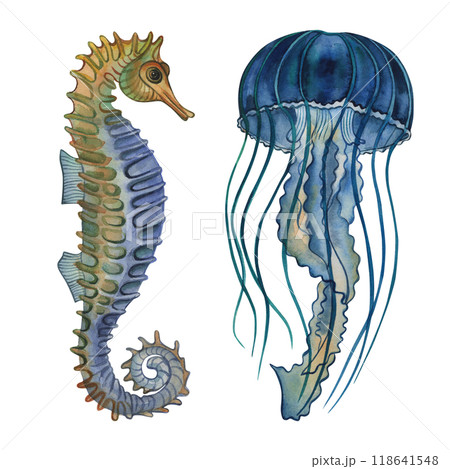 Seahorse, jellyfish in blue, turquoise, green, yellow shades. A set of illustrations with underwater animals painted with watercolors on a white background. For life posters, interior, packaging. Seahorse, jellyfish in blue, turquoise, green, yellow shades. A set of illustrations with underwater animals painted with watercolors on a white background. For life posters, interior, packaging. 118641548