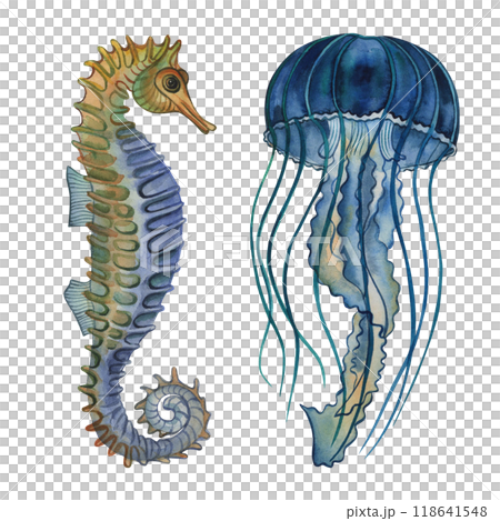 Seahorse, jellyfish in blue, turquoise, green, yellow shades. A set of illustrations with underwater animals painted with watercolors on a white background. For life posters, interior, packaging. Seahorse, jellyfish in blue, turquoise, green, yellow shades. A set of illustrations with underwater animals painted with watercolors on a white background. For life posters, interior, packaging. 118641548