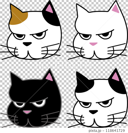 頑皮貓套裝 頑皮貓套裝 118641729