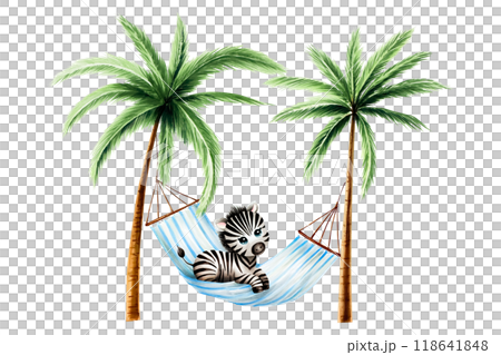 Cute baby zebra on striped hanging hammock with Green palm trees. Lazy summer clipart. Watercolor hand drawn floral jungle illustration isolated on background. For designers, postcards, greetings, bir 118641848