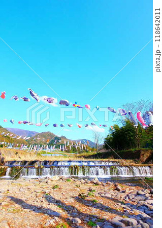 こいのぼり　鯉のぼり　鯉幟　高瀬川　山形市 118642011