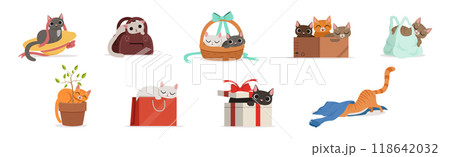 Playful Cat as Fluffy Feline with Cute Snout at Home Vector Set 118642032