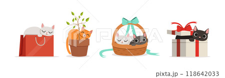 Playful Cat as Fluffy Feline with Cute Snout at Home Vector Set Playful Cat as Fluffy Feline with Cute Snout at Home Vector Set 118642033