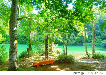 ドッコ沼　蔵王　新緑 118642187