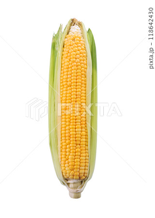Fresh corn on white backgrounds . 118642430