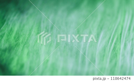 Blur rays. Glitter background. Defocused green color sparkling particles texture ink wave decorative abstract art. 118642474
