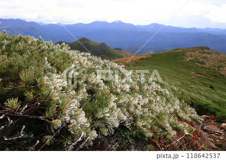 日本百名山 トムラウシ山 登山道 より ニペソツ山 ウペペサンケ山方面を望む 日本百名山 トムラウシ山 登山道 より ニペソツ山 ウペペサンケ山方面を望む 118642537