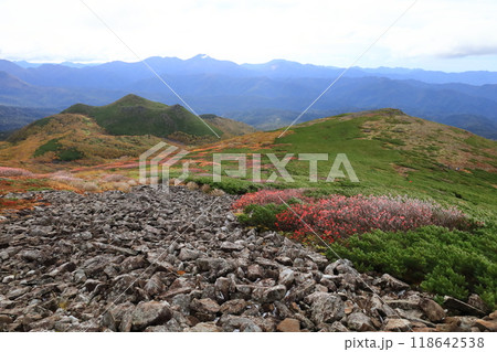 日本百名山　トムラウシ山　登山道　より　ニペソツ山　ウペペサンケ山方面を望む 118642538