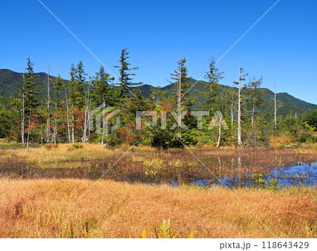 秋晴れの青空のもと、乗鞍高原の「どじょう池」と草紅葉 118643429
