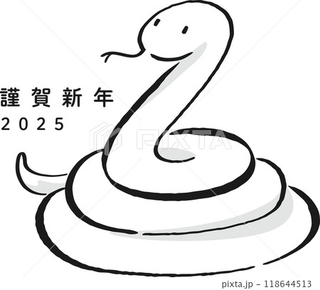 2025年　年賀状素材　巳年 118644513
