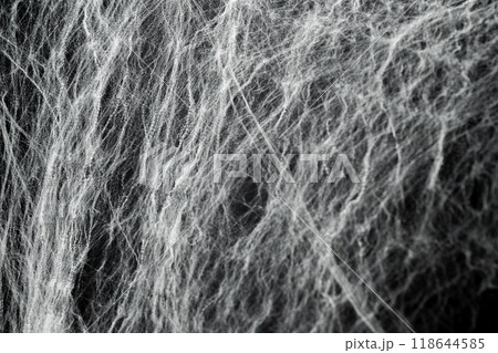 Spooky creepy cobweb spiders web covered a black background. Abstract halloween background. 118644585