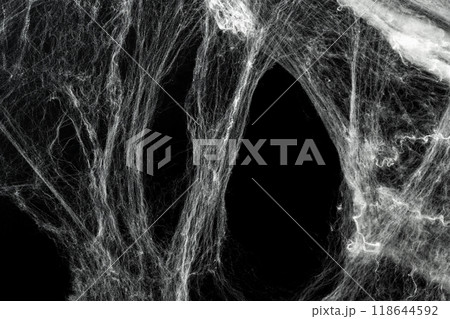 Spooky creepy cobweb spiders web covered a black background. Abstract halloween background. 118644592