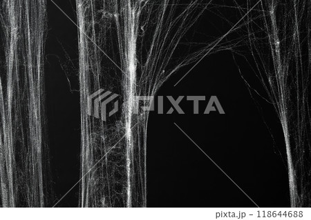 Spooky creepy cobweb spiders web covered a black background. Abstract halloween background. 118644688