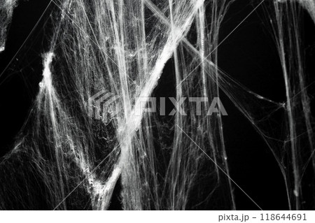 Spooky creepy cobweb spiders web covered a black background. Abstract halloween background. Spooky creepy cobweb spiders web covered a black background. Abstract halloween background. 118644691