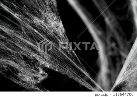 Spooky creepy cobweb spiders web covered a black background. Abstract halloween background. Spooky creepy cobweb spiders web covered a black background. Abstract halloween background. 118644700