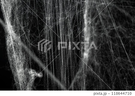 Spooky creepy cobweb spiders web covered a black background Spooky creepy cobweb spiders web covered a black background 118644710