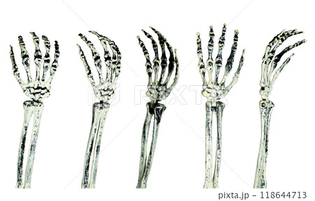 Set of human skeletons hands isolated over white background. The human skeletons, devil, evil, or satan hands are positioned at various angles. The scene is eerie and unsettling 118644713