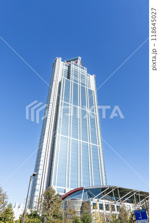 大阪市住之江区　快晴の大阪府咲洲庁舎（さきしまコスモタワー） 118645027