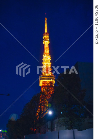 アンテナ 触角 ｱﾝﾃﾅ 118645506