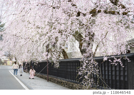 角館武家屋敷通りの満開の枝垂れ桜 118646548