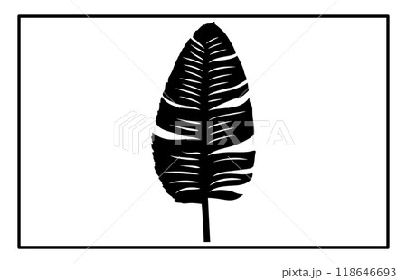 Banana leaf icon Silhouette. Banana leaf icon black color set, Silhouette of Banana Leaves on white background 118646693