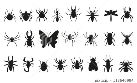 Black insects icons. Different insect silhouettes, buds spiders butterfly dragonfly scorpion tarantula. Nature elements, seasonal neoteric vector characters 118646994